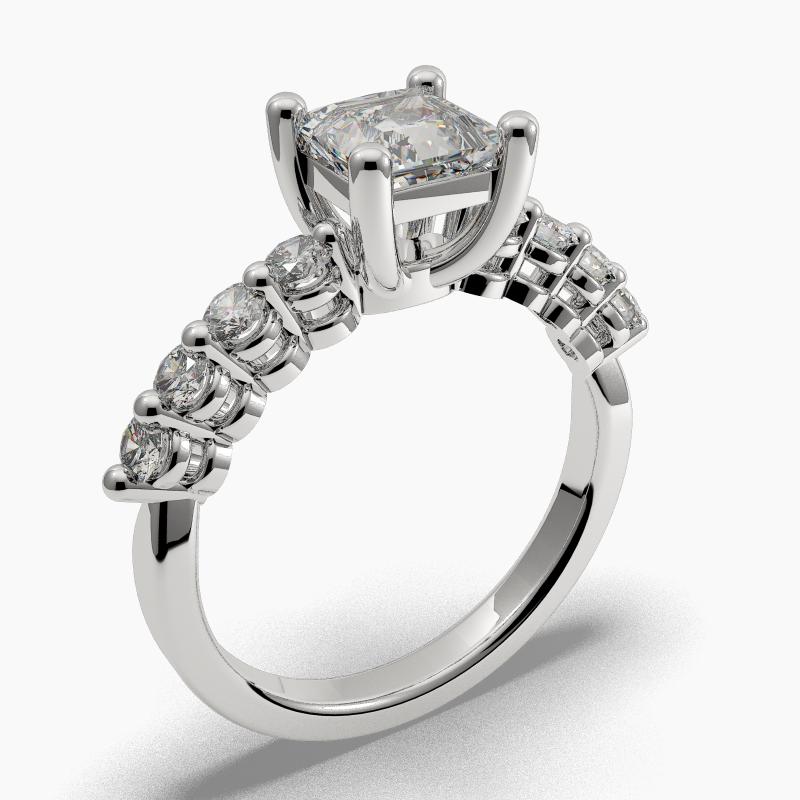 000030-100-8x0-06-princess-1-d-w-1