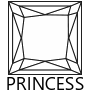 Princess Cut Diamond Engagement Rings